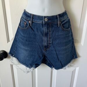 American Eagle Outfitters Dark Blue Denim Cutoff Shorts